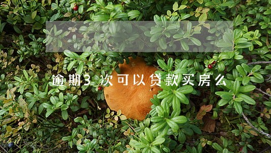 逾期3次可以贷款买房么 逾期3次可以贷款买房么