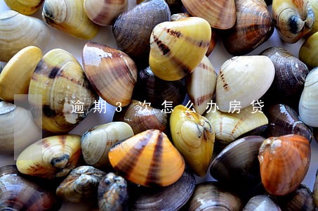 逾期3次怎么办房贷 逾期3次怎么办房贷
