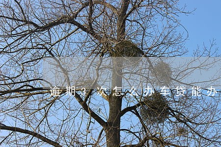 逾期3次怎么办车贷能办理吗 逾期3次怎么办车贷能办理吗