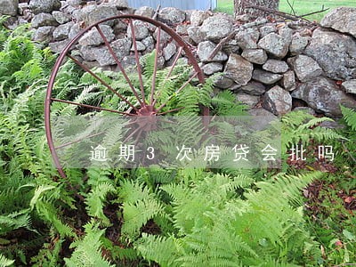 逾期3次房贷会批吗 逾期3次房贷会批吗