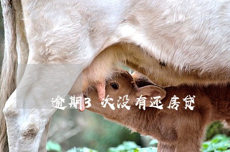 逾期3次没有还房贷 逾期3次没有还房贷