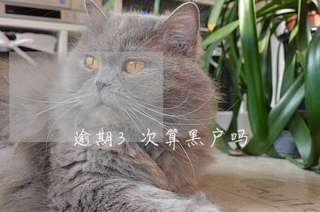 逾期3次算黑户吗 逾期3次算黑户吗