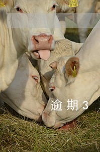 逾期3次能否贷款 逾期3次能否贷款