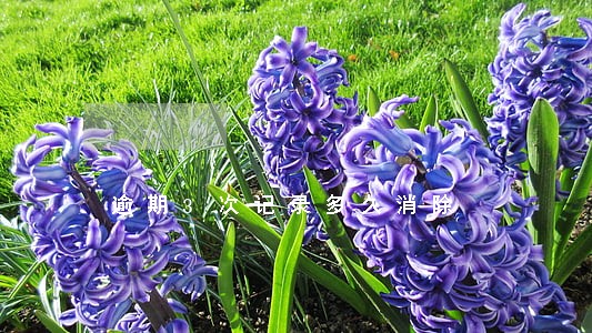 逾期3次记录多久消除 逾期3次记录多久消除