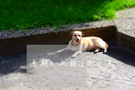逾期3次超过90天 逾期3次超过90天
