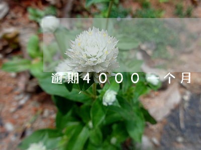 逾期4000一个月 逾期4000一个月