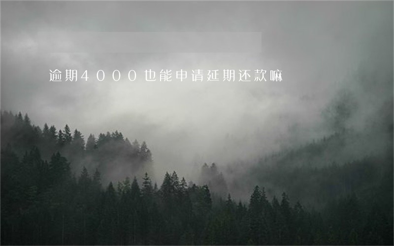 逾期4000也能申请延期还款嘛 逾期4000也能申请延期还款嘛