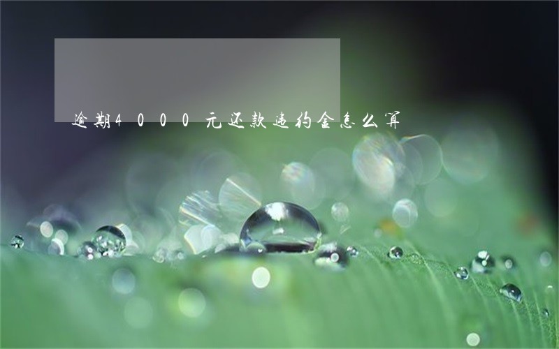 逾期4000元还款违约金怎么算 逾期4000元还款违约金怎么算