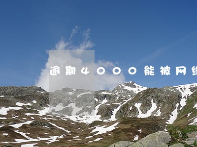 逾期4000能被网络仲裁