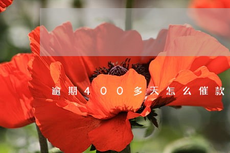逾期400多天怎么催款 逾期400多天怎么催款