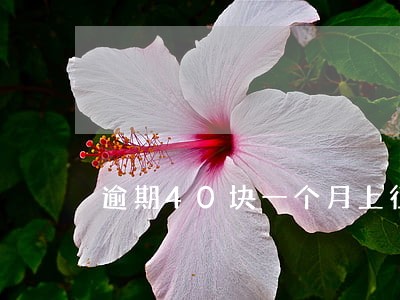 逾期40块一个月上征信了 逾期40块一个月上征信了