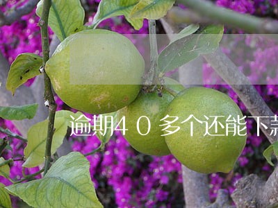 逾期40多个还能下款2020 逾期40多个还能下款2020