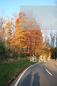 逾期40多天真的会封卡吗 逾期40多天真的会封卡吗