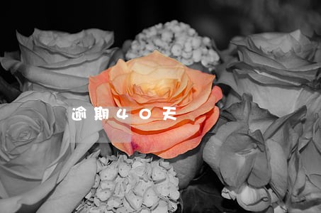 逾期40天 逾期40天
