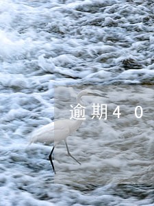 逾期40天上报征信 逾期40天上报征信