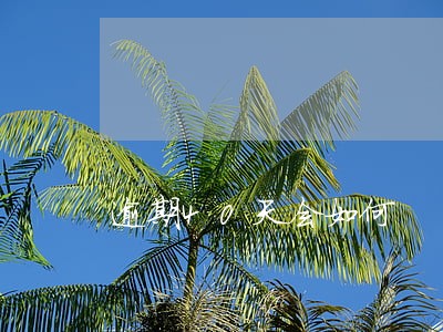 逾期40天会如何 逾期40天会如何