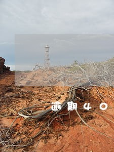 逾期40天是黑户吗 逾期40天是黑户吗