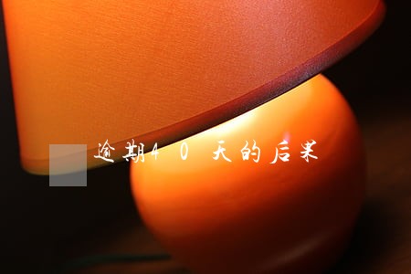 逾期40天的后果 逾期40天的后果