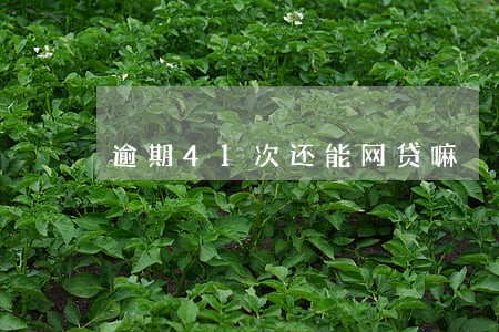 逾期41次还能网贷嘛 逾期41次还能网贷嘛