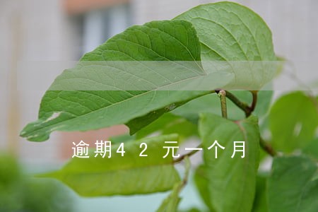 逾期42元一个月 逾期42元一个月