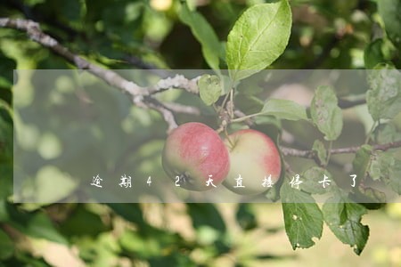 逾期42天直接停卡了 逾期42天直接停卡了