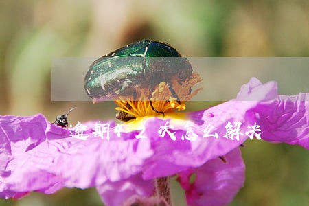 逾期42次怎么解决 逾期42次怎么解决