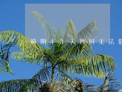 逾期43天暂时无法借款微众银行 逾期43天暂时无法借款微众银行