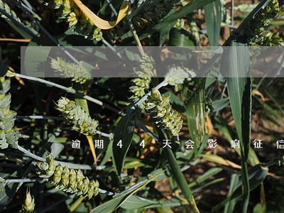 逾期44天会影响征信吗
