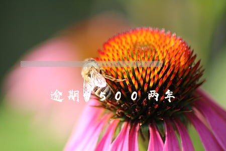 逾期4500两年 逾期4500两年