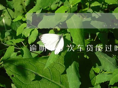 逾期45次车贷能过吗