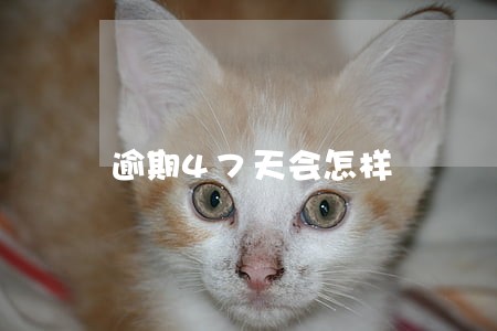 逾期47天会怎样 逾期47天会怎样