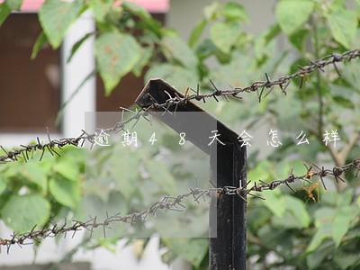 逾期48天会怎么样 逾期48天会怎么样