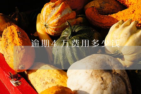逾期4万费用多少钱 逾期4万费用多少钱