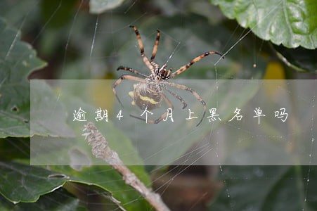逾期4个月上黑名单吗 逾期4个月上黑名单吗