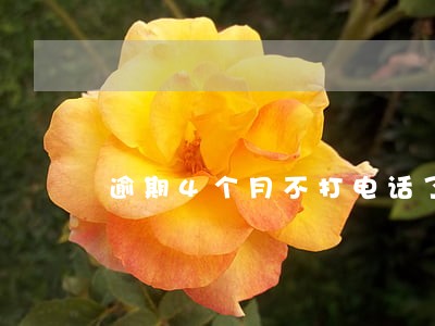 逾期4个月不打电话了