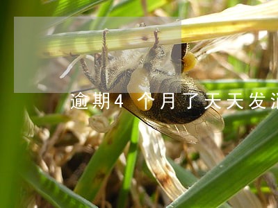 逾期4个月了天天发消息 逾期4个月了天天发消息