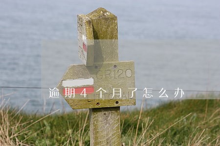 逾期4个月了怎么办 逾期4个月了怎么办