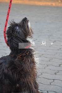 逾期4个月产生2万3的违约金 逾期4个月产生2万3的违约金