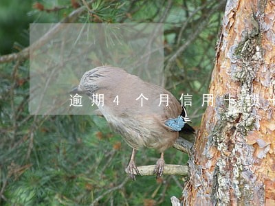 逾期4个月信用卡锁卡 逾期4个月信用卡锁卡