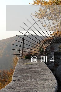 逾期4个月卡被停还能开卡不 逾期4个月卡被停还能开卡不