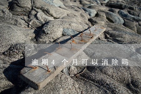 逾期4个月可以消除吗 逾期4个月可以消除吗