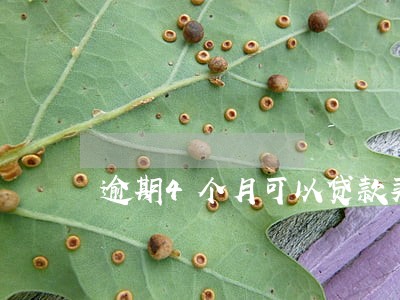 逾期4个月可以贷款买房吗 逾期4个月可以贷款买房吗