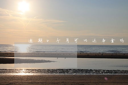 逾期4个月可以还本金吗 逾期4个月可以还本金吗