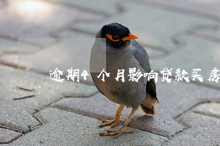 逾期4个月影响贷款买房吗 逾期4个月影响贷款买房吗