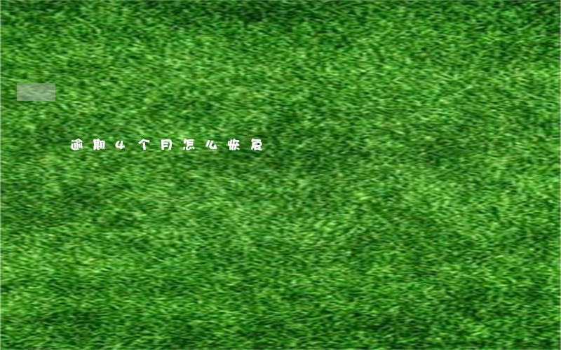 逾期4个月怎么恢复 逾期4个月怎么恢复