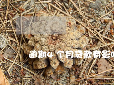 逾期4个月贷款有影响吗 逾期4个月贷款有影响吗