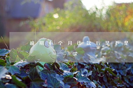 逾期4个月还款后是不是黑户 逾期4个月还款后是不是黑户
