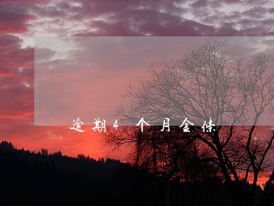 逾期4个月金条 逾期4个月金条