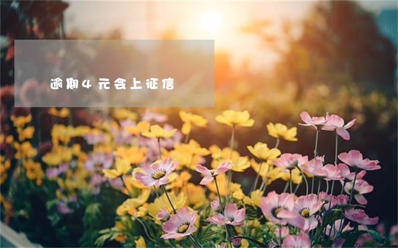 逾期4元会上征信 逾期4元会上征信