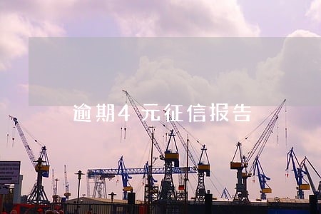 逾期4元征信报告 逾期4元征信报告